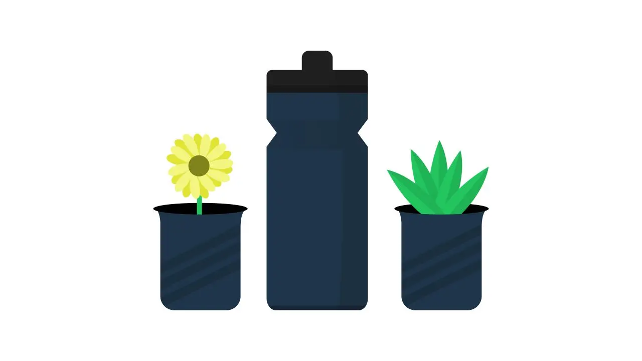 plants and water bottles